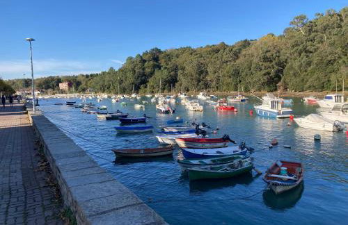 Plentzia Port - Foto 34