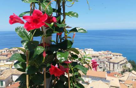 Il Terrazzo su Pizzo - Foto 2