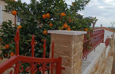 Grandmas Cottage - Photo 4