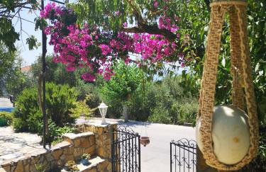 Villa amygdalia - Foto 23