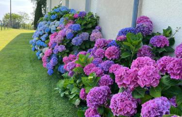 La Couade de Troche - Foto 19