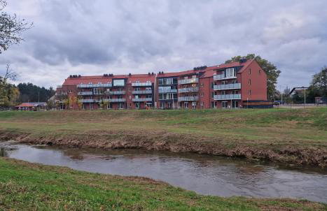 Apartament Słoneczny Taras nad Baryczą - Foto 9