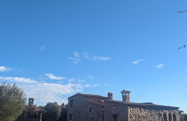 Casa Hostalets - In the Middle of the Olive Trees - Foto 4