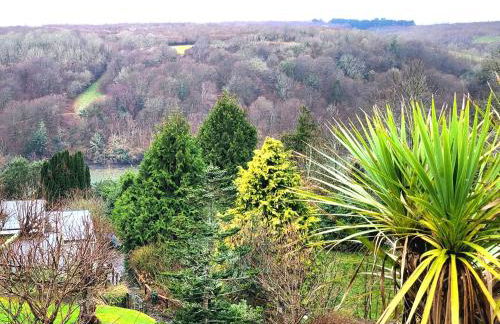 Looe, Cornwall, Cottage, couples, romantic, quiet location, views, reliable Wi-Fi - Foto 6