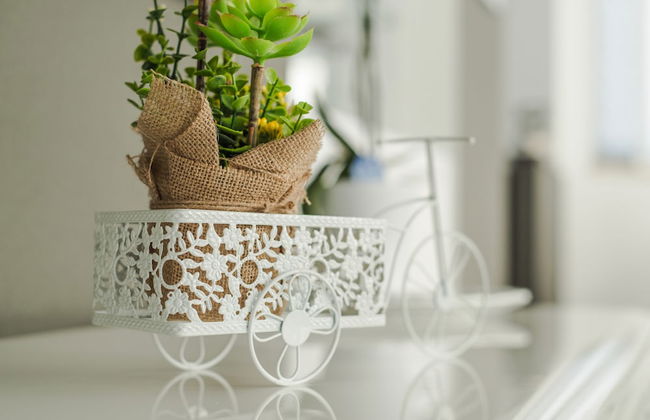 Holiday Home Oasis of Peace - Foto 21