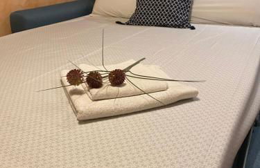 Apartamento La Plazuela - Foto 12