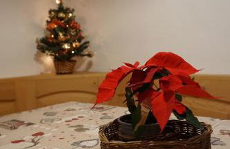 Bait de la Malgheta - Foto 70