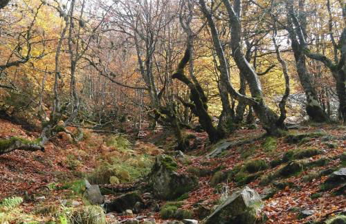 Ático en Riaza con todas las comodidades - Foto 47