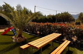 Angel House - Foto 12