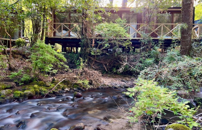 Outscape Fuy - Foto 5