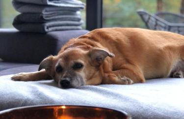 Villa Pino - Foto 41