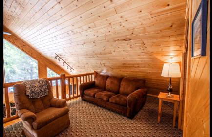 Island Park Hideaway -Bill's Island -Hot Tub -BBQ - Foto 15