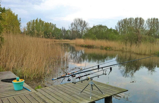 Ferienwohnung an der Elde - Foto 14