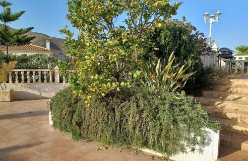 Casa Los Olivos, villa with a pool - Photo 6