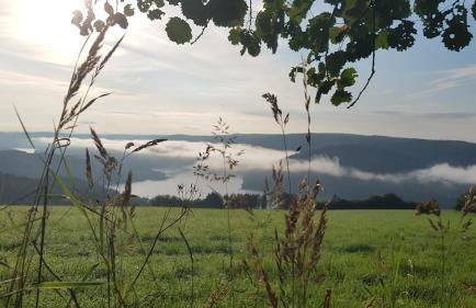 Sonnenschein am Rursee - Foto 26