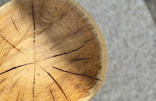 Oasis de Confort Urbano 2 Plantas - Foto 30