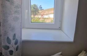 Gecko Pego Longo - Foto 4