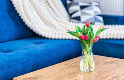 SOLE MARE Apartamenty Piamola z basenem - Foto 5