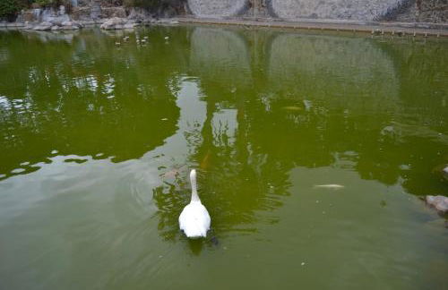 FABULOSO Penthouse LAS PALMAS - Foto 55