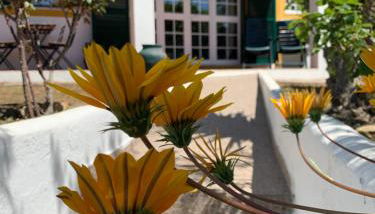 A Casa da Ti Vina - Foto 2