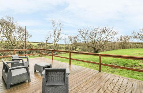 Nant Y Felin Lodge - Foto 17