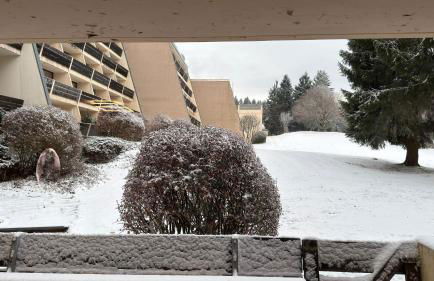 Luna & Stella Apartments, Sankt Englmar - Foto 30