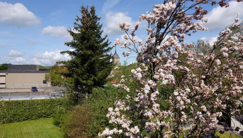 kaulbach5 - Foto 3, Garden view