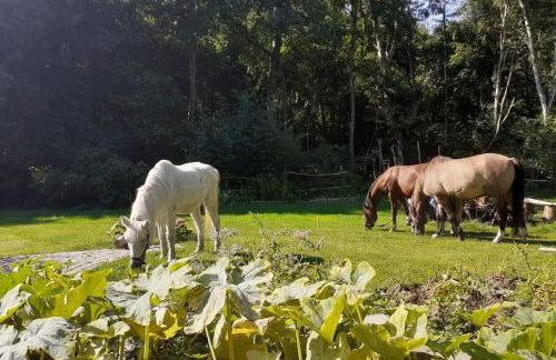 Poggenhagen Urlaub mitten in der Natur - Foto 14