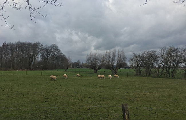 Farmhouse in Zelhem With Sauna Retreat - Foto 39