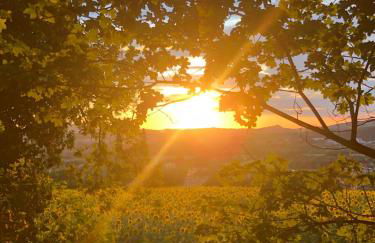 Casale del monte, Pesaro - Foto 20