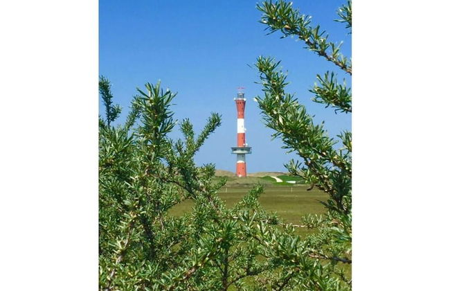 Lagoon on the Wadden See on Wangerooge - Foto 4