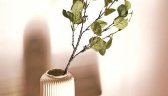 Casa Pepi, un lugar mágico - Foto 4