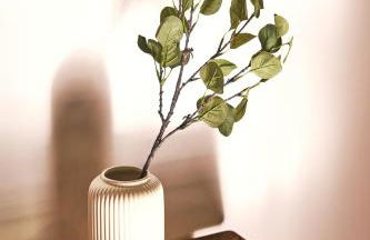 Casa Pepi, un lugar mágico - Foto 4