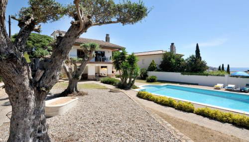 Ramon - Foto 4, Garden