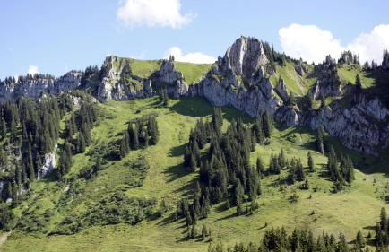 Ferienhaus Bausch - Photo 30