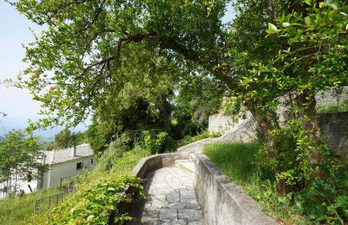 Stay Horizon #P1, Milies - Foto 52