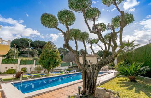 Club Villamar - Abanico - Foto 29