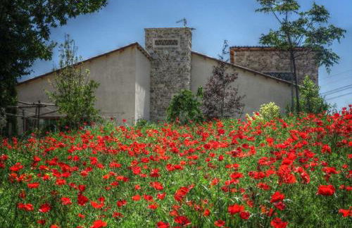 Agriturismo Cignale della Società Agricola Cignale srl - Photo 58