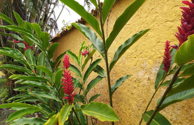 Morada do Beija-Flor - Foto 24