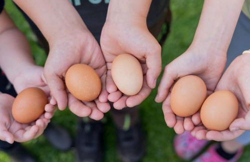 Ferienwohnung Fachwerkhaus - Westen oben - Bauernhof Hopp Vadersdorf - Foto 20