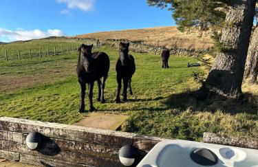 Wild boar barn - Foto 12