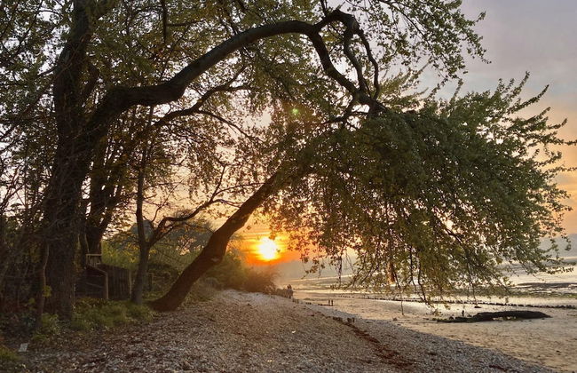 Blackberry Cottage in Bembridge - Foto 36