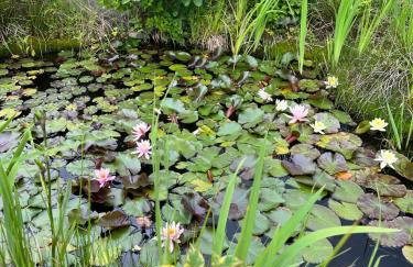 LAWENDOWA PRZYSTAŃ - dom nad rzeką - Brenna, 10 osób, sauna, balia z jacuzzi, ogród, plac zabaw - Foto 79