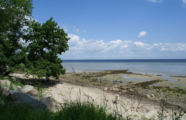 Ferienhof Gut Oestergaard - Photo 54