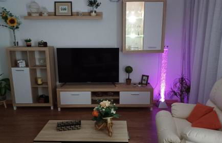 Vivienda Uso Turístico Las Gemelas de Arevalo - Foto 6