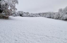 Deluxe Cabin wrapped by nature - Photo 16