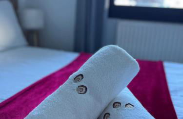 Appartement Vu Mont Blanc parking Terrasse - Photo 26