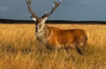 The Watchmakers Matlock - Foto 20