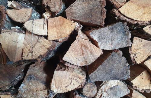 Holiday Home Demark - Foto 64