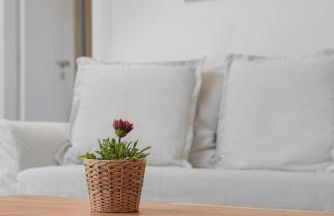 Villa Tzikides Aegina - Foto 97